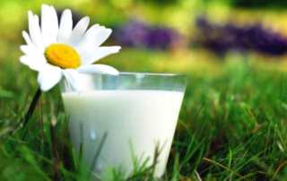Молоко - основное сырье для производства молочной продукции
